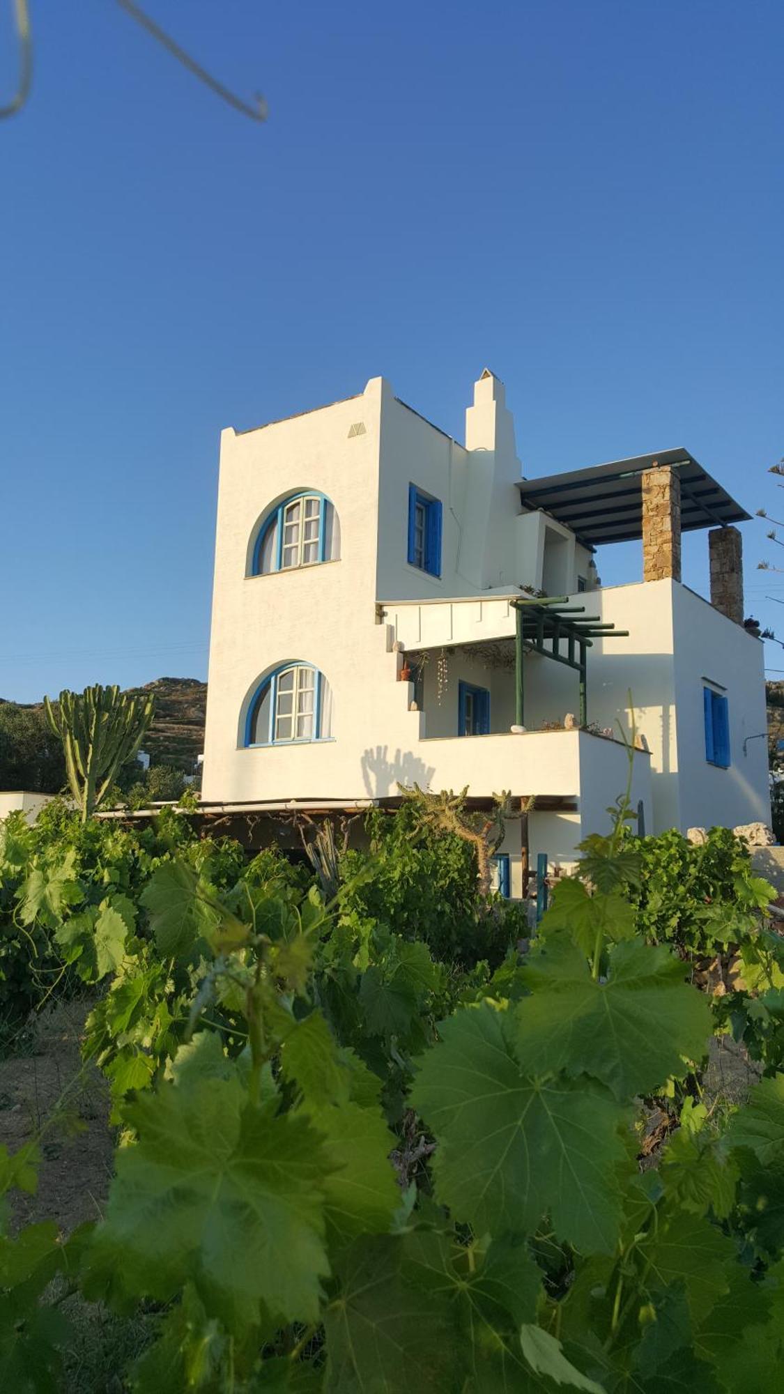Matina'S Vineyard Hotel Mikri Vigla Bagian luar foto