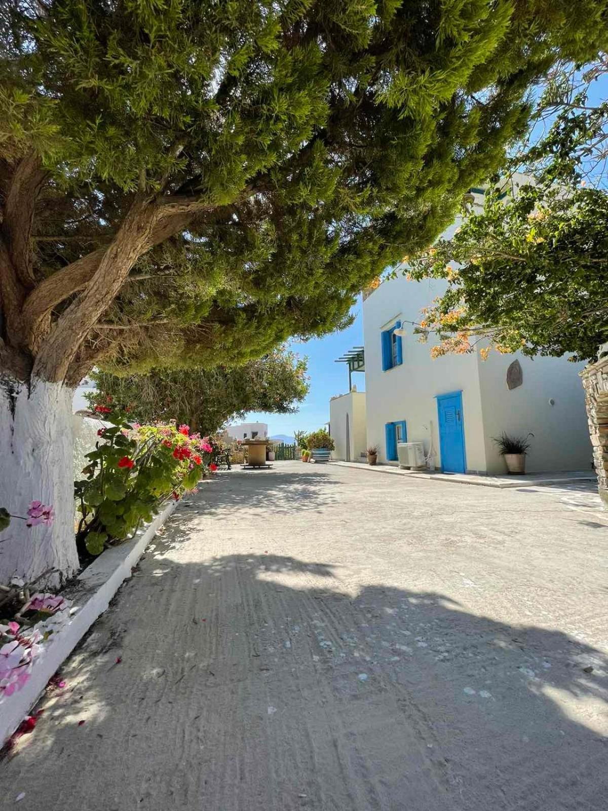 Matina'S Vineyard Hotel Mikri Vigla Bagian luar foto