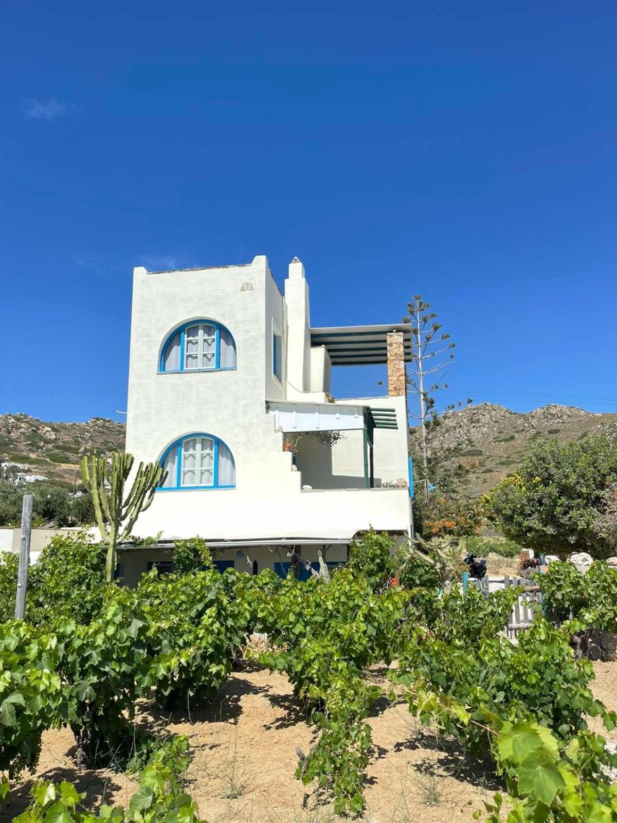 Matina'S Vineyard Hotel Mikri Vigla Bagian luar foto