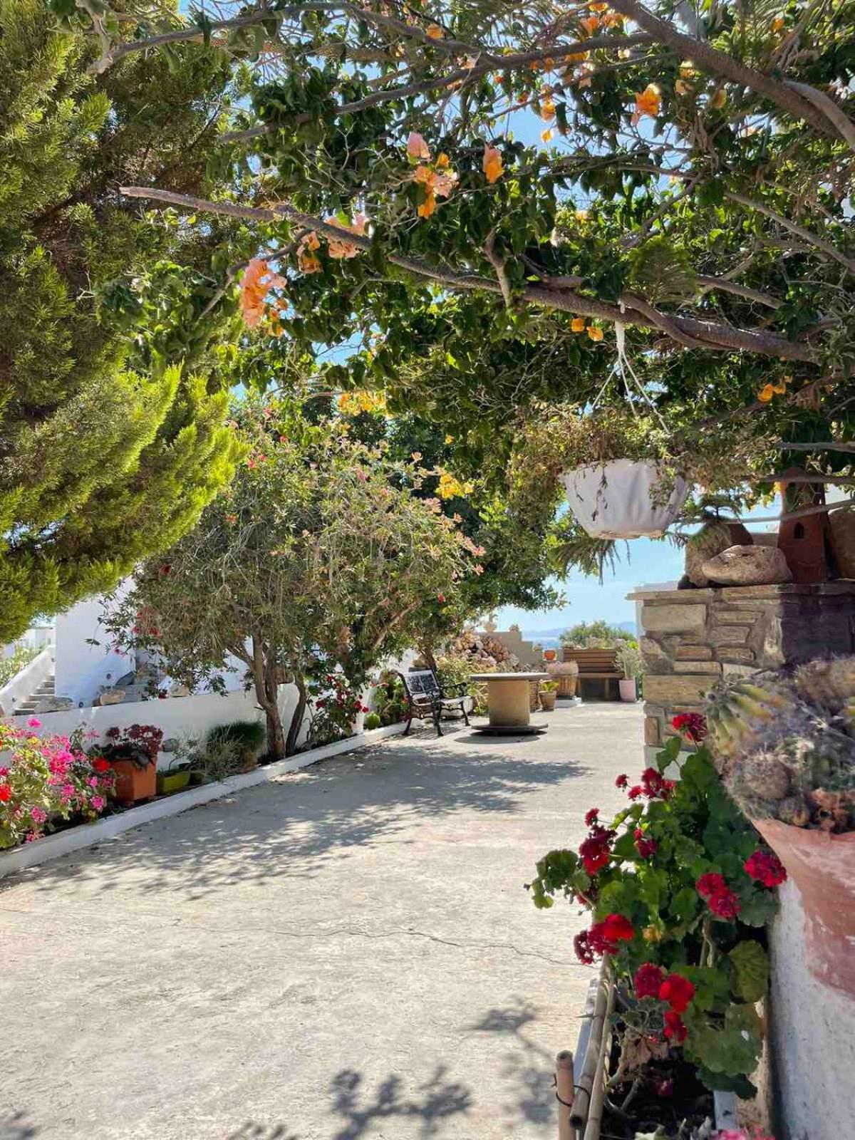 Matina'S Vineyard Hotel Mikri Vigla Bagian luar foto